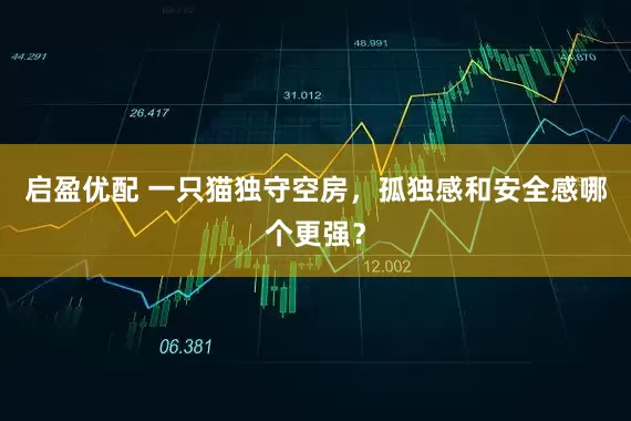 启盈优配 一只猫独守空房，孤独感和安全感哪个更强？
