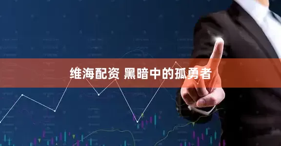 维海配资 黑暗中的孤勇者