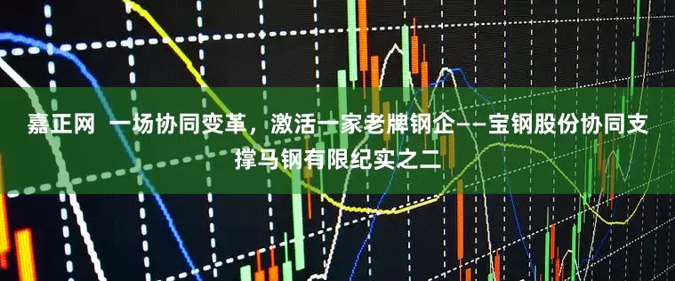 嘉正网  一场协同变革，激活一家老牌钢企——宝钢股份协同支撑马钢有限纪实之二