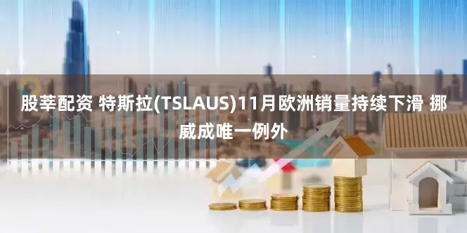 股莘配资 特斯拉(TSLAUS)11月欧洲销量持续下滑 挪威成唯一例外